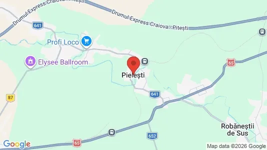 Houses for rent i Pieleşti - kort over placeringen