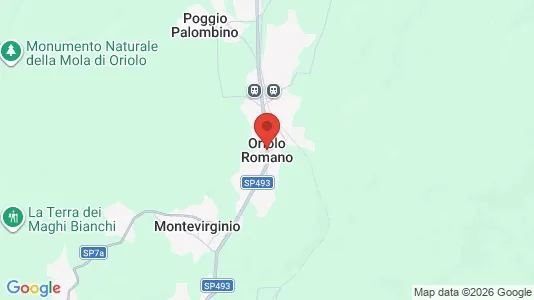 Apartments for rent i Oriolo Romano - kort over placeringen