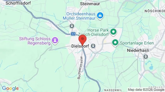 Apartments for rent i Dielsdorf - kort over placeringen