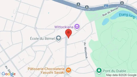 Apartments for rent i Brussels Sint-Pieters-Woluwe - kort over placeringen