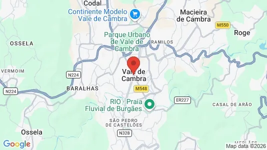 Apartments for rent i Vale de Cambra - kort over placeringen