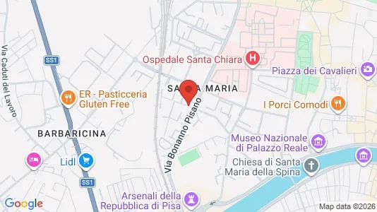 Rooms for rent i Pisa - kort over placeringen