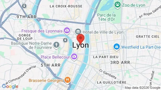 Apartments for rent i Lyon - kort over placeringen