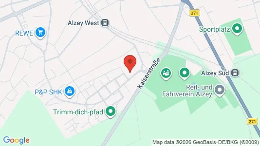 Apartments for rent i Alzey-Worms - kort over placeringen