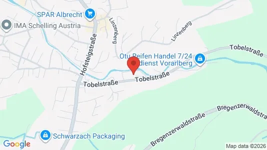 Apartments for rent i Bildstein - kort over placeringen