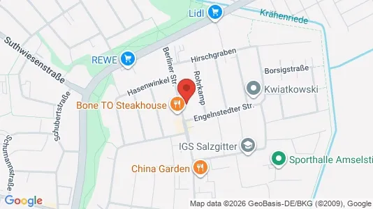 Apartments for rent i Salzgitter - kort over placeringen