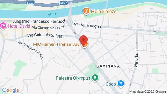 Apartments for rent i Florence - kort over placeringen