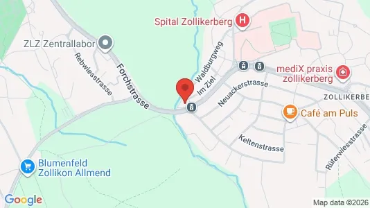 Apartments for rent i Meilen - kort over placeringen