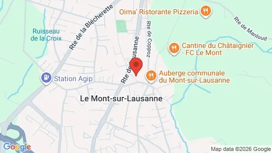 Apartments for rent in Lausanne - Photo from Google Street View