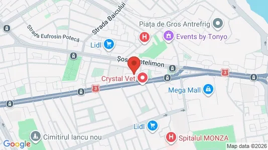 Apartments for rent i Bucharest - Sectorul 2 - kort over placeringen