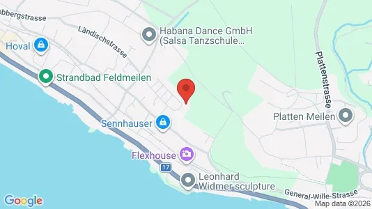Apartments for rent i Meilen - kort over placeringen
