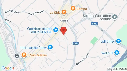 Apartments for rent i Ciney - kort over placeringen