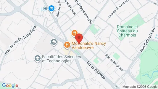 Apartments for rent i Nancy - kort over placeringen