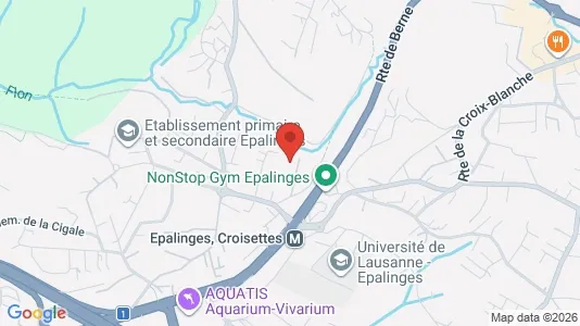 Apartments for rent i Lausanne - kort over placeringen