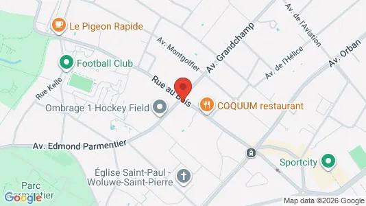 Apartments for rent i Brussels Sint-Pieters-Woluwe - kort over placeringen