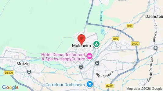 Houses for rent i Molsheim - kort over placeringen