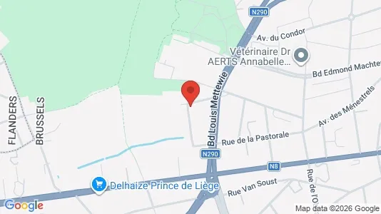 Apartments for rent i Brussels Sint-Jans-Molenbeek - kort over placeringen