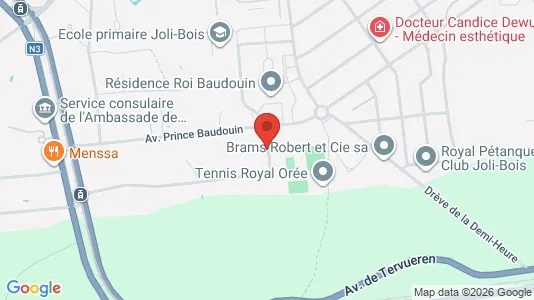 Apartments for rent i Brussels Sint-Pieters-Woluwe - kort over placeringen