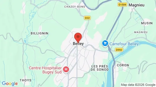 Apartments for rent i Belley - kort over placeringen