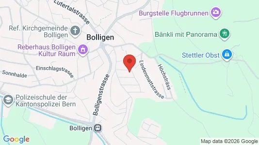 Apartments for rent i Bern-Mittelland - kort over placeringen