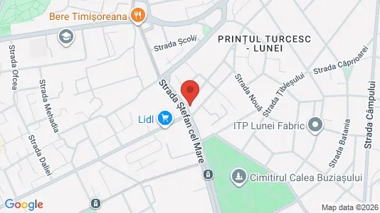 Apartments for rent i Arad - kort over placeringen