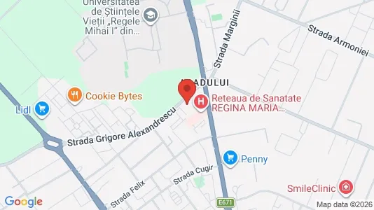 Apartments for rent i Timişoara - kort over placeringen
