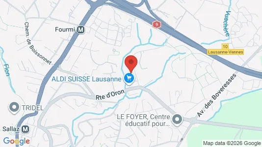 Apartments for rent i Lausanne - kort over placeringen