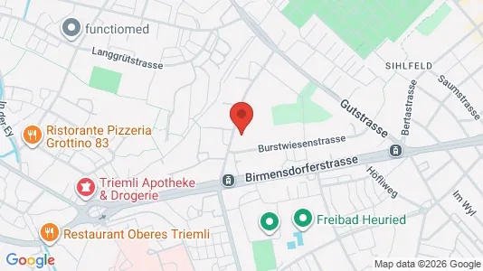 Apartments for rent i Zürich District 3 - Wiedikon - kort over placeringen