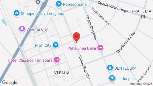 Apartments for rent i Timişoara - kort over placeringen