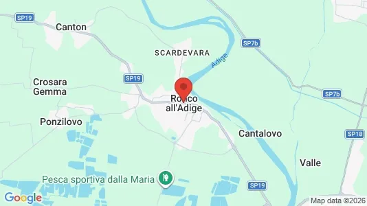 Apartments for rent i Ronco all'Adige - kort over placeringen