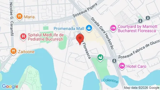 Apartments for rent i Voluntari - kort over placeringen