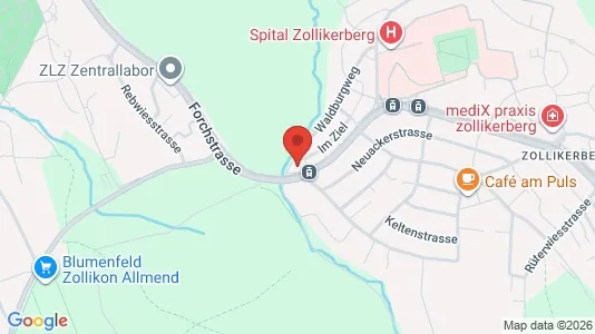Apartments for rent i Meilen - kort over placeringen