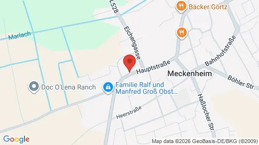 Apartments for rent i Bad Dürkheim - kort over placeringen