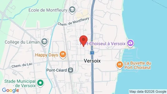 Apartments for rent i Versoix - kort over placeringen