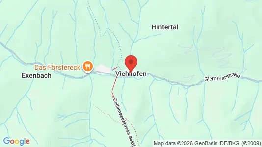 Apartments for rent i Viehhofen - kort over placeringen