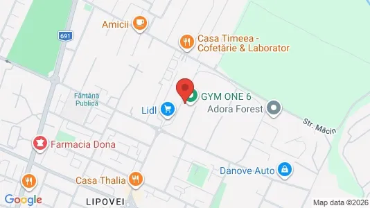 Apartments for rent i Timişoara - kort over placeringen