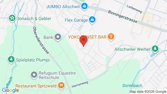 Apartments for rent i Arlesheim - kort over placeringen