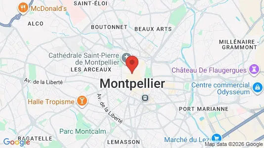 Houses for rent i Montpellier - kort over placeringen