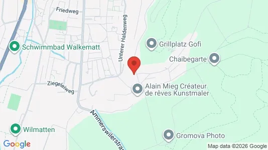 Rooms for rent i Lenzburg - kort over placeringen