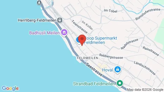 Apartments for rent i Meilen - kort over placeringen