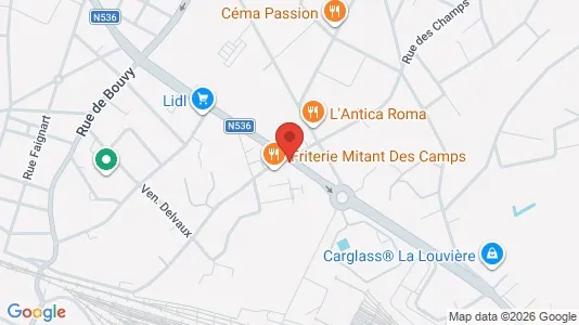 Apartments for rent i La Louvière - kort over placeringen