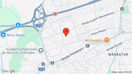 Apartments for rent i Cluj-Napoca - kort over placeringen