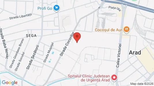 Apartments for rent i Arad - kort over placeringen