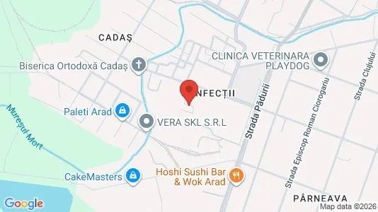 Apartments for rent i Arad - kort over placeringen