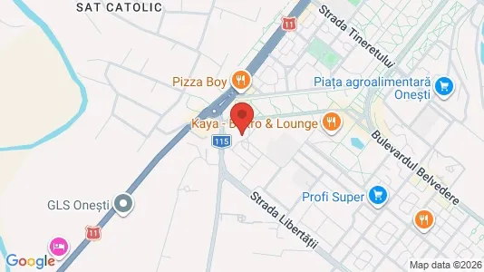Apartments for rent i Oneşti - kort over placeringen
