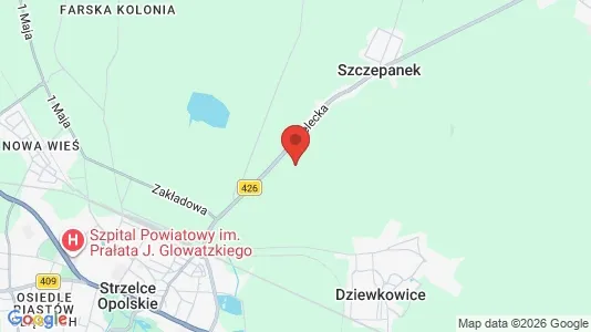 Apartments for rent i Strzelecki - kort over placeringen