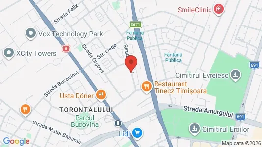 Apartments for rent i Timişoara - kort over placeringen