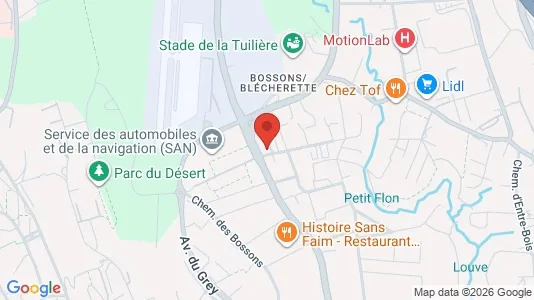 Apartments for rent i Lausanne - kort over placeringen
