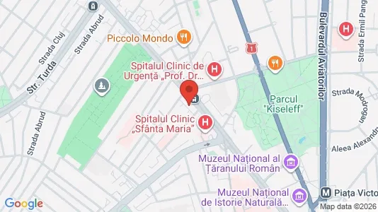 Apartments for rent i Bucharest - Sectorul 1 - kort over placeringen