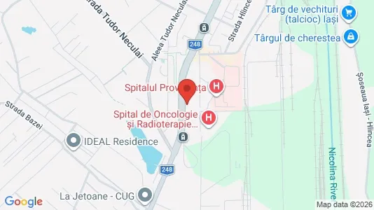 Apartments for rent i Iaşi - kort over placeringen